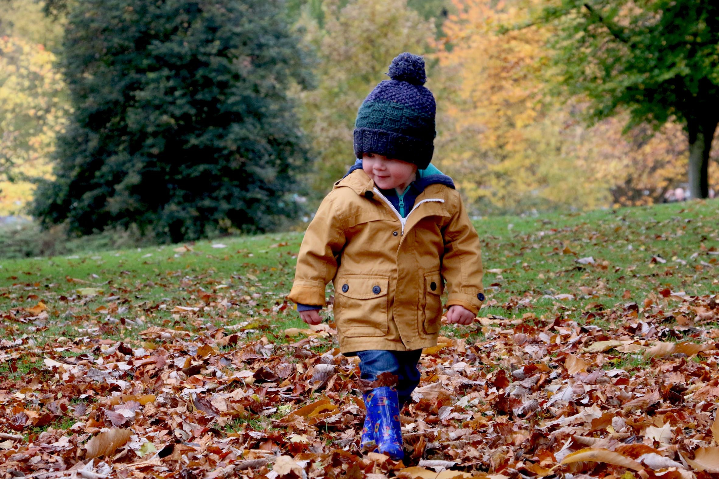 Niño de dos años: todo sobre alimentación, sueño, desarrollo y sociabilidad  en esta etapa